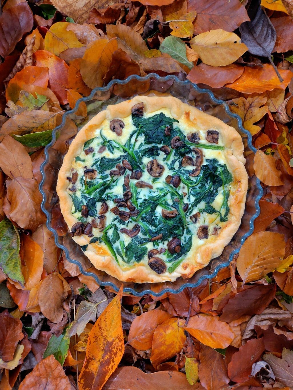 recette quiche végétarienne avec champignons et épinards emmental et parmesan