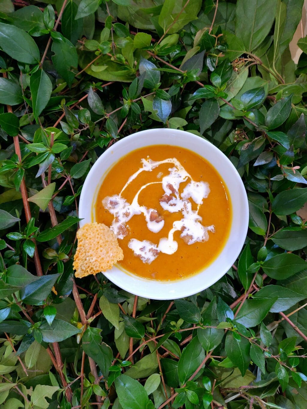 recette de soupe aux marrons, potiron et sa tuile de parmesan