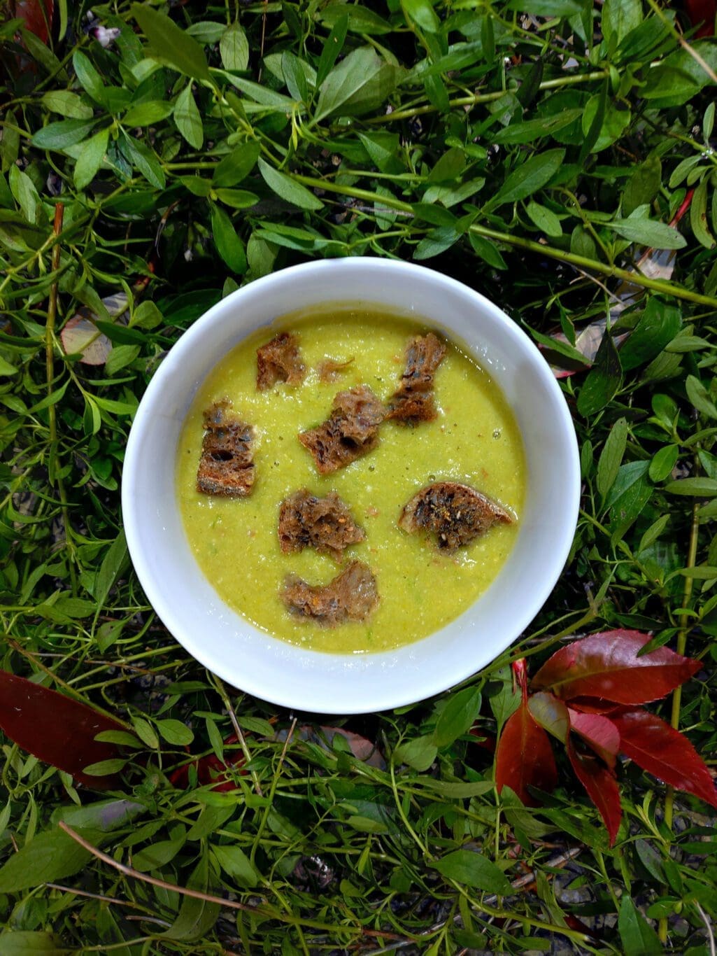 soupe de mais, pois chiches, cacahuète, croutons au zaatar
