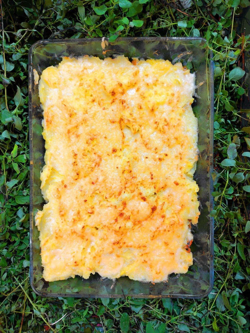 recette de hachi parmentier végétarien