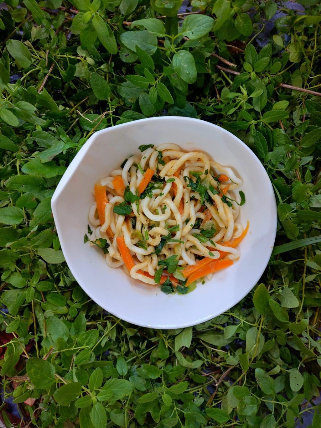 nouilles udan sauce cacahuète carottes et chou pak choi