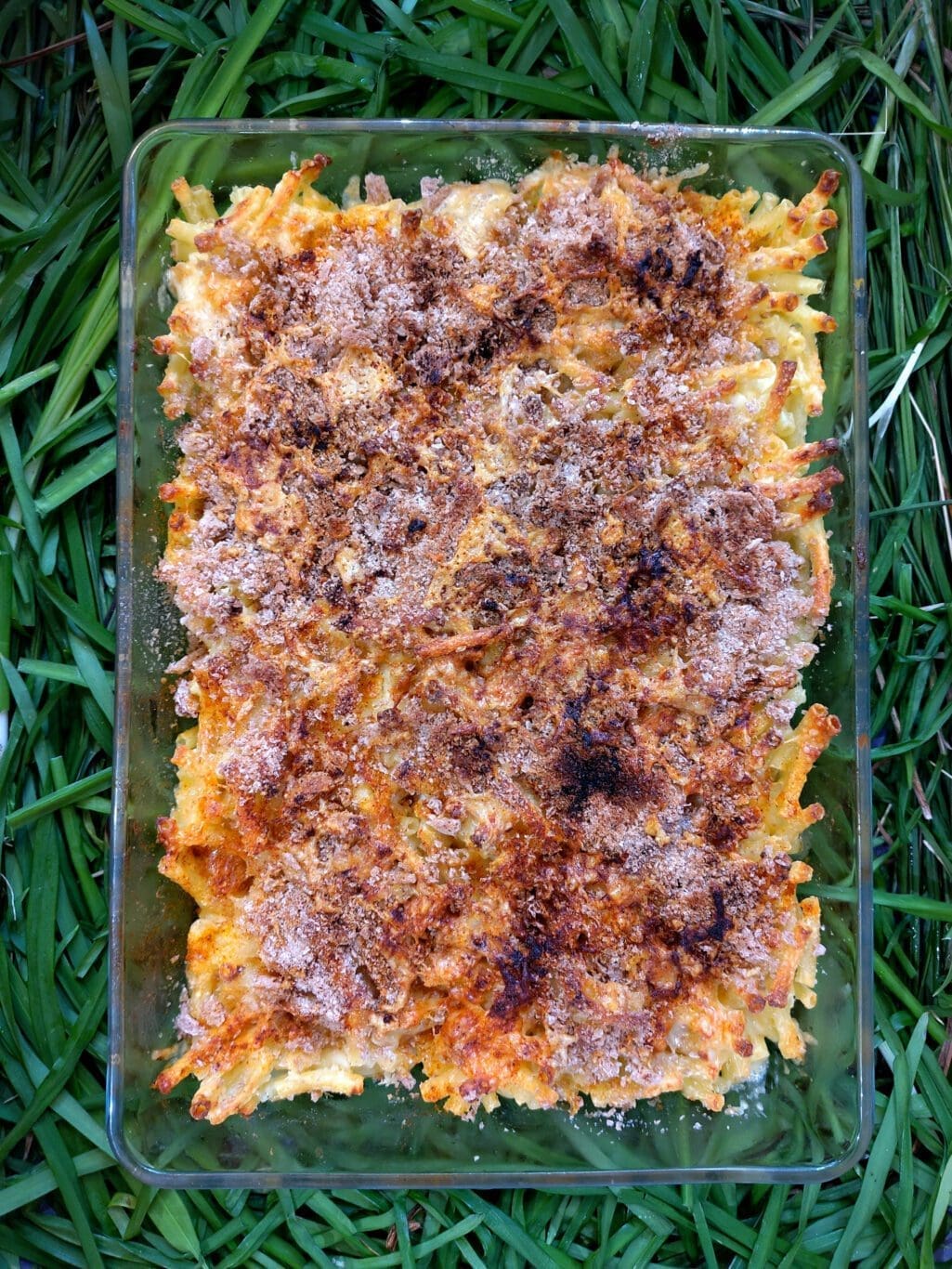 recette de mac and cheese, macaronis, cheddar, creme fraiche