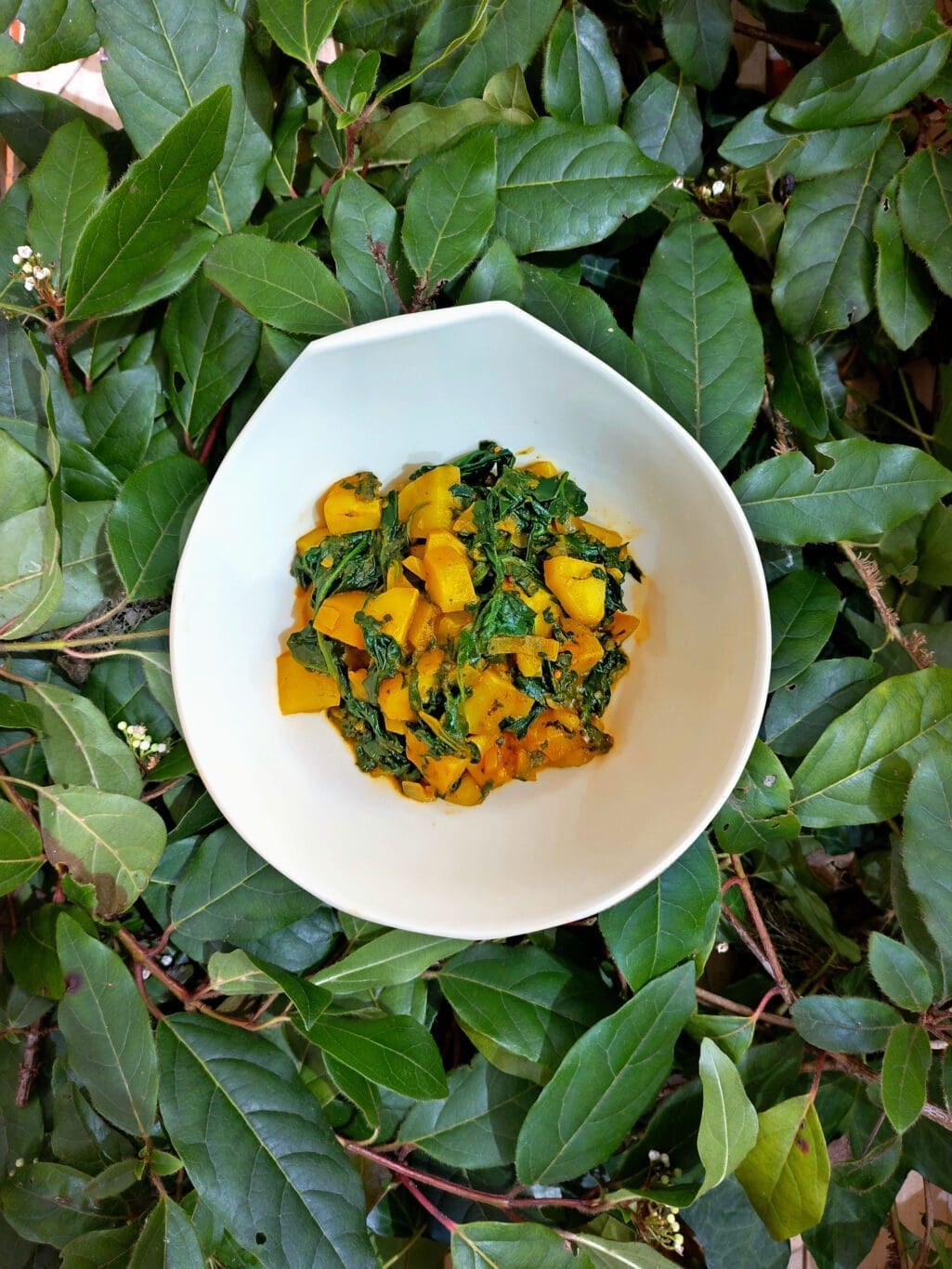 recette de aloo palaak, pommes de terre, épinards, épices et huile de coco