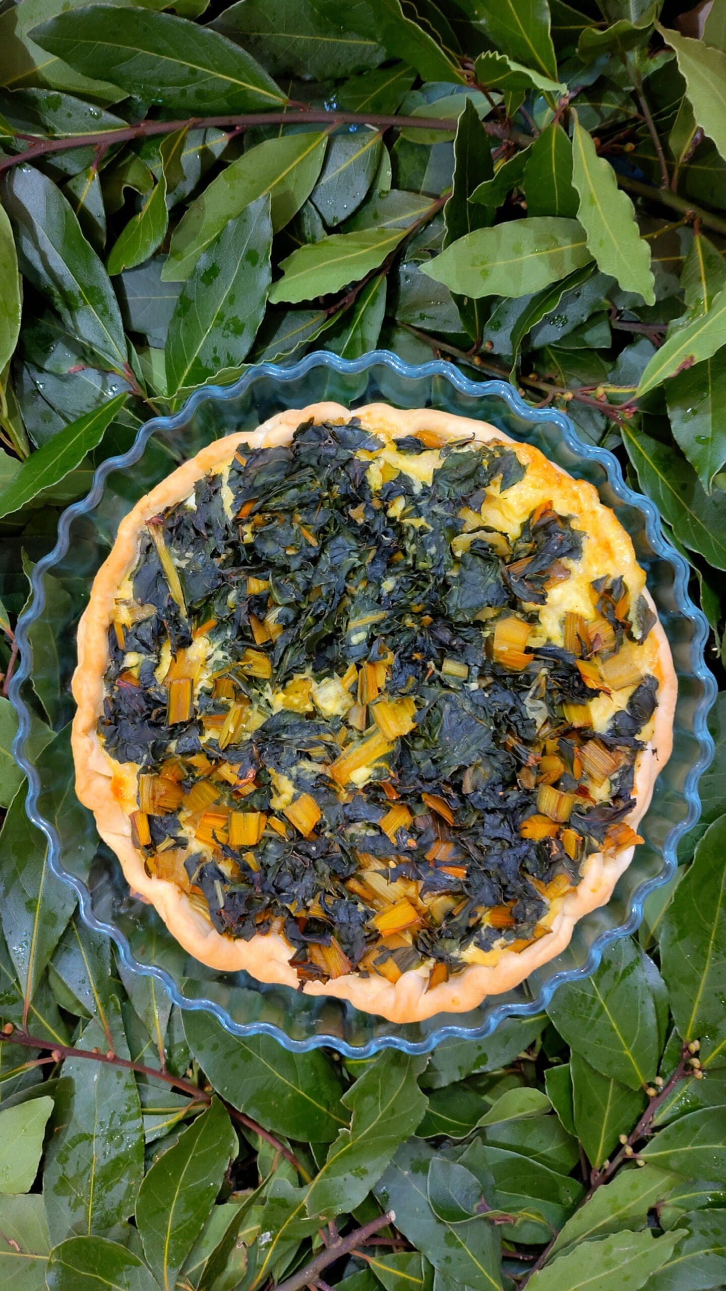 recette de quiche aux blettes, cumin, emmental et béchamel
