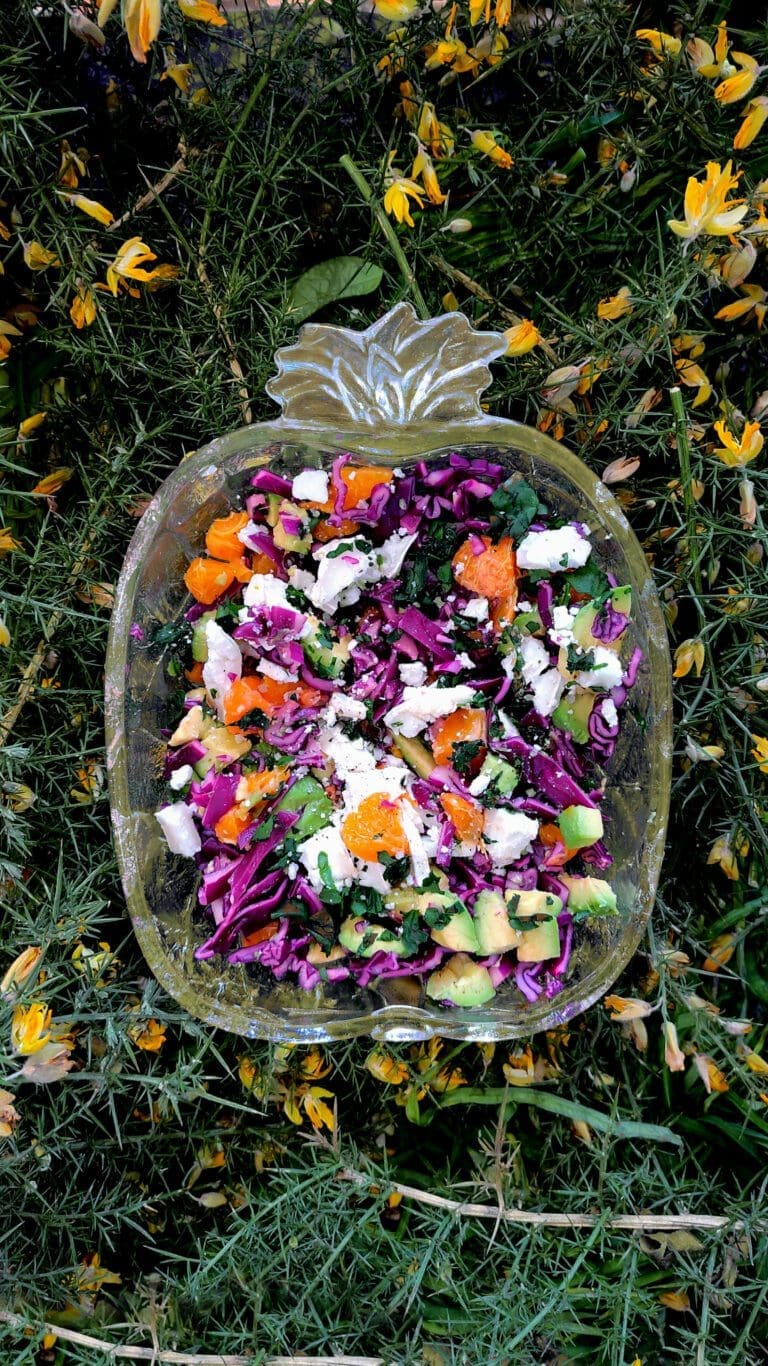 Recette de salade de chou rouge mandarines avocat chevre