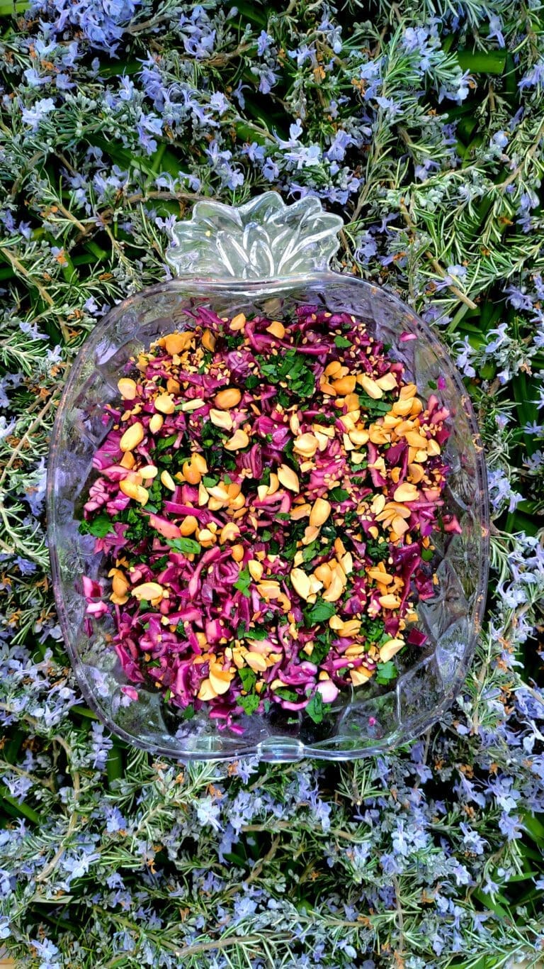 Recette de salade de chou rouge cru