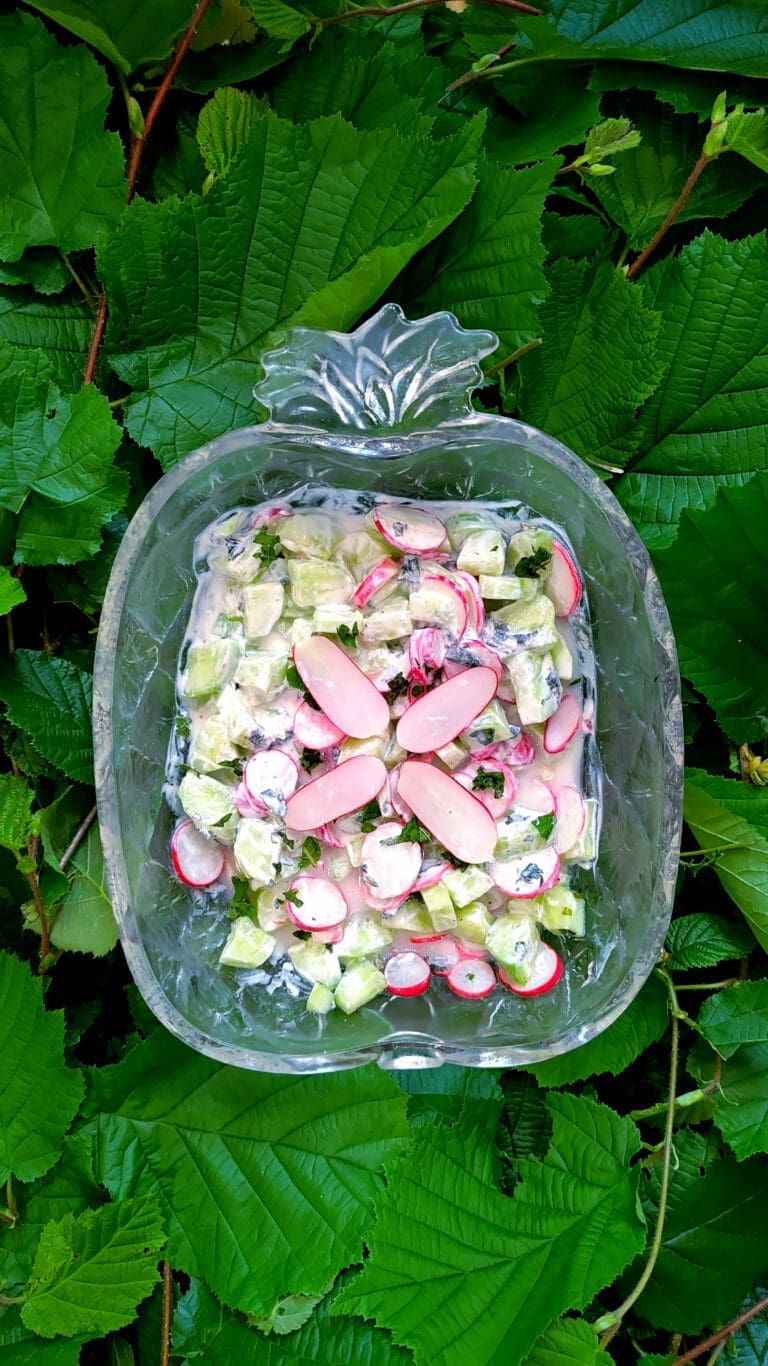 recette de salade concombre, radis et menthe